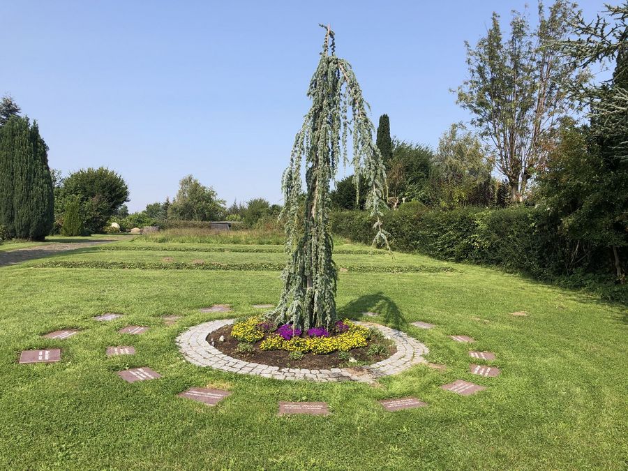 Sarg- und Urnenrasenfeld auf dem Friedhof