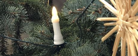 Weihnachtsbaum Detail