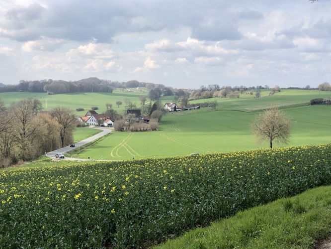 Blick über das Hornoldendorfer Tal im Mai