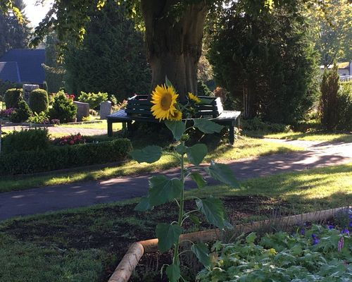 Andacht auf dem Friedhof